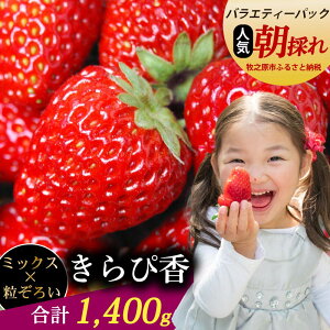 yӂ邳Ɣ[Łz ҍ 1400gȏ  oGeB[ pbN  C`S 肩[ yk͔| t[c ʕ XC[c E  n Mtg ƒp  蕨 uh Â _ƒ