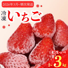 【ふるさと納税】 冷凍いちご 1〜3kg 完熟 紅ほっぺ 選べる ヘタ取り 静岡 限定 苺 果物 スイーツ デザート フルーツ アイス ジャム シャーベット ベリー 氷菓 冷凍フルーツ 甘い おすすめ ギフト 人気 森木農園 産地直送 旬 季節 牧之原市 静岡県