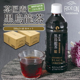 【ふるさと納税】 静岡県産 黒烏龍茶 計48本 500ml × 24本 2ケース ペットボトル 黒ウーロン茶 国産 ポリフェノール配合 いなば園 ウーロン茶 健康茶 ダイエット茶 ノンカフェイン 冷茶 さっぱり 美容 デトックス 牧之原市 静岡県