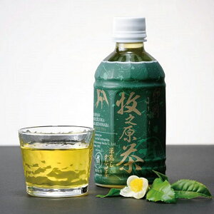 yӂ邳Ɣ[Łz qV̎ v~A ybg{g 350ml×24{ Β [  É  hN  o ⒃ ≷p Mtg i  Ε ԗi Yi Yi 