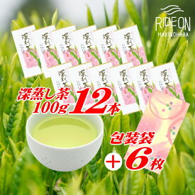 【ふるさと納税】 摘みたて!深蒸し茶 100g×12本 包装袋セット 緑茶 日本茶 お茶 茶葉 煎茶 静岡茶 ギフト 贈り物 お土産 高級 冷茶 水出し 急須 茶道 和菓子 牧之原市 静岡県