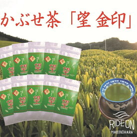 【ふるさと納税】 令和7年5月 新茶 出荷 牧之原 かぶせ茶 望 10本 セット お茶 茶 深蒸し 煎茶 旬 日常 のし 熨斗 贈答 ギフト 静岡茶 緑茶 美味しい 健康 リラックス 香り 味 飲み物 おいしい 家族 人気 おすすめ 牧之原市 静岡県