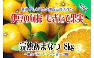 yӂ邳Ɣ[Łzyɓ݂̂Ekzĉʎ@܂Ȃ@8kg@A023 ^ ň_ӂڂ@k@t[c@É@ɓ