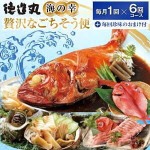 yӂ邳Ɣ[ŁziⓀj ґȂ 1×6R[X{lC̒t G010 ^  ڑ C̍K CN É ɓ