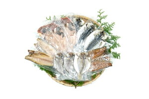 yӂ邳Ɣ[Łz Zbg ij 1236 ^ RY ڑ  AW To ڑ É ɓ