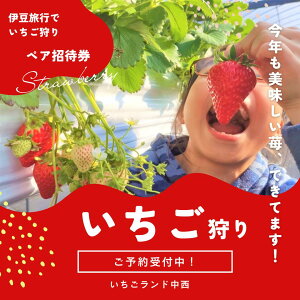 yӂ邳Ɣ[Łž`Pbg 2Hו30t ǒ ɓ 1271