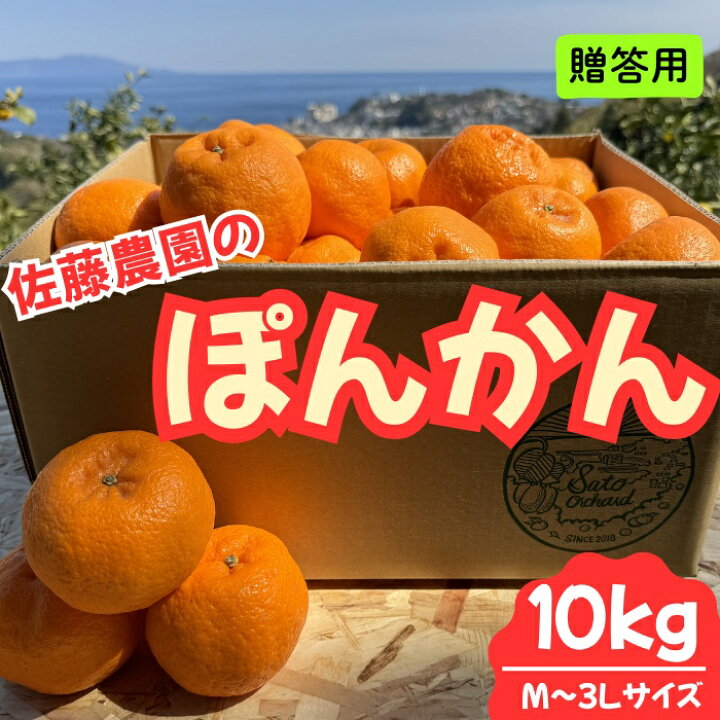 楽天市場】【ふるさと納税】東伊豆・佐藤農園のポンカン 贈答用10kg（M 