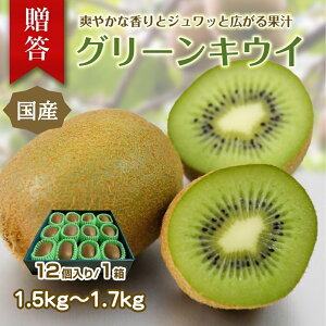 【ふるさと納税】東伊豆・佐藤農園のキウイ 贈答用 12個入(2Lサイズ) 1331 / 佐藤農園 果物 フルーツ 農家直送 静岡県 東伊豆町