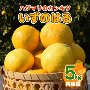 yӂ邳Ɣ[Łzy2zẑ͂@ԏGiōj@5kg@JAӂɓ@ÉY 1382 ^ JAӂɓ ̂͂ ԏG 蕨 É ɓ