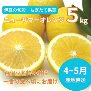 �y�ӂ邳�Ɣ[�Łz�y�ɓ��݂̂���E���k�z�������ĉʎ��@�j���[�T�}�[�I�����W�@5kg�@A018 �^ ���n�̌��_���ӂ��ڂ�@���k�@�t���[�c�@�É����@���ɓ���