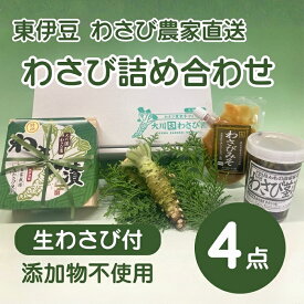 【ふるさと納税】（冷蔵）わさび農家直送　無添加こだわり加工品+　生わさびセット 1383 ／ 大川因わさび園 わさび漬 わさび茎漬 わさび味噌 静岡県