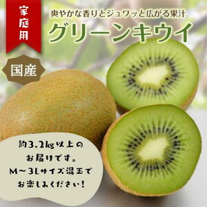 yӂ邳Ɣ[ŁzɓE_̃LEC@ƒp@3.2kgȏiMTCY`3LTCYj 1394 ^ _ ʕ t[c _ƒ É ɓ