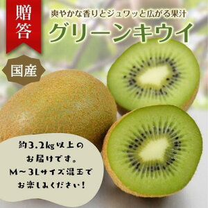 yӂ邳Ɣ[ŁzɓE_̃LEC@p@3.2kgȏiMTCY`3LTCYj 1395 ^ _ ʕ t[c _ƒ É ɓ