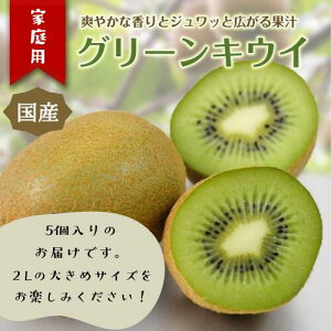 【ふるさと納税】東伊豆・佐藤農園のキウイ 家庭用 5個入(2Lサイズ) 1396 / 佐藤農園 果物 フルーツ 農家直送 静岡県 東伊豆町