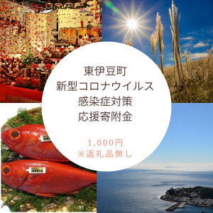【ふるさと納税】東伊豆町 新型コロナウイルス感染症対策 応援寄附金(返礼品はありません)
