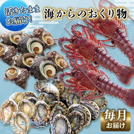 【ふるさと納税】伊勢海老 アワビ サザエ 定期便 年12回 海からのお届け物 ワカメ ひじき はんばのり 干物 伊勢エビ さざえ あわび わかめ 海苔 天草 煮魚 惣菜 えび 鮑 貝 魚 魚介 魚介類 海鮮 海鮮セット セット 冷蔵 静岡 静岡県 12回 お楽しみ　【 河津町 】