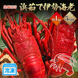 【ふるさと納税】漁師直送　冷凍浜茹で伊勢海老1キロ　 伊勢エビ 冷凍　お届け：2026年4月中旬～12月中旬