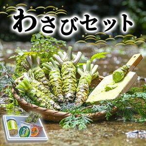yӂ邳Ɣ[Łz킳 Zbg 킳 2{ 킳ђЂ 1{ V̏t Ot|Ђ 1r 킳іX 1 lߍ킹 ɓ ɓ킳ѐHi Tr R Hi HHi   ① 