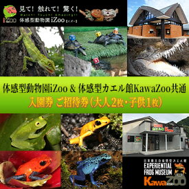【ふるさと納税】動物園 イズー カワズー 大人 2枚 子供 1枚 入園券 体験 体験型 チケット ギフト券