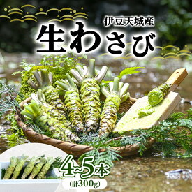 【ふるさと納税】伊豆天城産 生わさび 4～5本 計300g 調味料 薬味 わさび 山葵 生山葵 ワサビ 生ワサビ 刺身 寿司 新鮮 河津町産 静岡県産