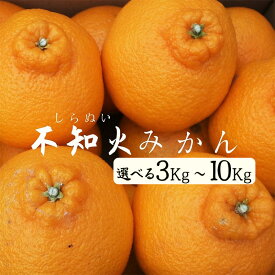 【ふるさと納税】【先行予約＿2026年出荷分】湯の花 不知火3Kg/5Kg/10Kg箱セット 3kg 5kg 10kg 不知火 ミカン みかん ポンカン ぽんかん 清見 フルーツ 甘い 静岡 伊豆 南伊豆 美味い 在庫限り 2026年配送 道の駅 直売所