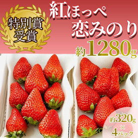 【ふるさと納税】【予約受付】【2025年1月発送】 いちご イチゴ 苺 紅ほっぺ 300g以上2パック 300g以上4パック 静岡 果物 生いちご 紅ほっぺ フルーツ 南伊豆町産 伊豆 甘い おすすめ 選べる 特別賞受賞 ご自宅用 いちご BabyBerryFarm