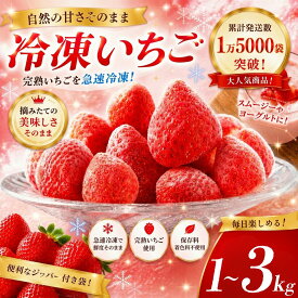 【ふるさと納税】【2027年発送】 冷凍いちご 苺 イチゴ いちご 1kg 2kg 3kg 冷凍 冷凍イチゴ 冷凍苺 甘い 濃い 旨い 産地直送 農家直送 期間限定 strawberry 完熟 甘い 果物 フルーツ 大容量 大人気 おすすめ 果物 フルーツ 甘い 産地直送 農家直送 静岡県 送料無料