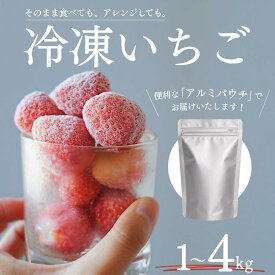 【ふるさと納税】 冷凍いちご 1kg 2kg 3kg 冷凍 いちご 冷凍イチゴ イチゴ 冷凍苺 苺 甘い フレッシュ 濃い 旨い 産地直送 農家直送 期間限定 strawberry 完熟 甘い 果物 フルーツ たっぷり 大容量 大人気 おすすめ 果物 フルーツ 甘い 産地直送 農家直送 静岡 送料無料