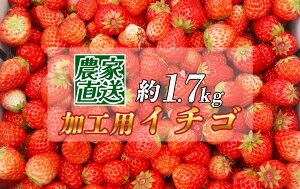 yӂ邳Ɣ[Łzy\tzy2026N35\zC`S@HpC`S@ol߁@1.7kgi6.5pbNj@݂̂  猵I 󂠂  C`S HpC`S o