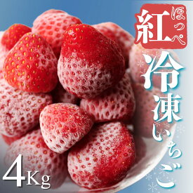 【ふるさと納税】【予約受付】冷凍国産イチゴ 1kg 2kg 3kg 4kg 5kg 2025年2月発送 国産 完熟 スムージー ジャム ヨーグルト イチゴ 紅ほっぺ 苺 果物 フルーツ 静岡 冷凍 いちご フローズン 選べる 人気 入賞 2020年第31回静岡県いちご果実品評会入賞 大容量 南伊豆