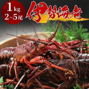 �y�ӂ邳�Ɣ[�Łz�y��s�\��z�I�ׂ� �ɐ��C�V �������� �ɐ��C�V �C�Z�G�r �N�� �C�V ���� �l�C ���Y �Y�n���� ���ʌ��� ���� ������ �Â� �������� ���ʌ��� ���� �É��� ��ɓ� �ɓ� 500g 1~