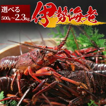 楽天市場】伊勢海老 5尾の通販 