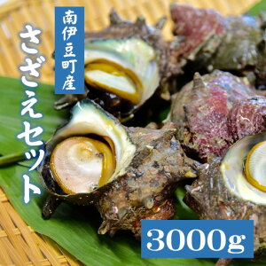 yӂ邳Ɣ[Łz TUG 1000g VR   CY CN Yn BBQ o[xL[  ɓ É P|X Zbg