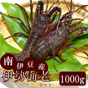 伊勢海老 1kg 食品の人気商品 通販 価格比較 価格 Com