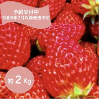 冷凍いちご