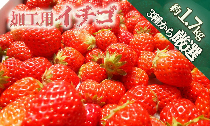 楽天市場】【ふるさと納税】【予約受付】【2025年3月から5月発送予定 