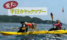 【ふるさと納税】ワンちゃんと一緒にシーカヤック体験(4人、ワンちゃん1匹) カヤック kayak 犬 海 シーカヤック サマー オーシャン 夏 春 サーフィン 海遊び アウトドア レジャー レッスン 体験 インストラクター レンタル 伊豆 南伊豆 体験 アクティビティ