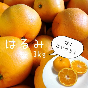 yӂ邳Ɣ[Łzys\Q2026Noוz̉ ͂3kgZbg 3kg ͂ ~J ݂ |J ۂ񂩂  t[c Â É ɓ 24N1`2z ̉w 