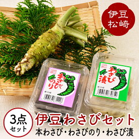 【ふるさと納税】伊豆のわさびセットA わさび セット wasabi 生わさび わさび漬け わさびのり