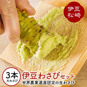 yӂ邳Ɣ[Łzɓ̂킳уZbgF 킳 Zbg wasabi 킳 E_ƈY R Mtg ʔ