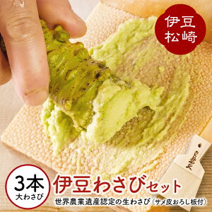 yӂ邳Ɣ[Łzɓ̂킳уZbgG 킳 Zbg 낵 wasabi 킳 E_ƈY R Mtg ʔ
