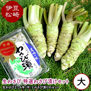 yӂ邳Ɣ[Łz킳 I킳ђЂZbg2 킳 Zbg wasabi {킳 킳ђ ʔ