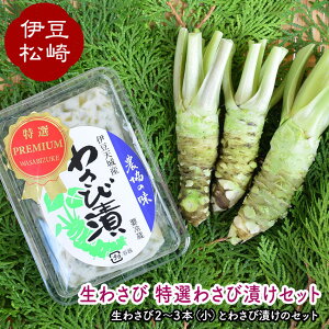 yӂ邳Ɣ[Łz킳 I킳ђЂZbg1 킳 Zbg wasabi {킳 킳ђ ʔ