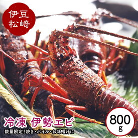【ふるさと納税】冷凍 伊勢海老 800g