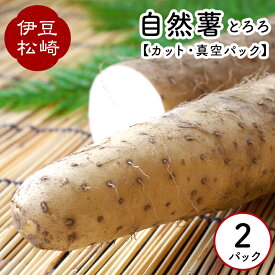 【ふるさと納税】婆娑羅農産 自然薯 カット 2パック