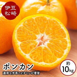 yӂ邳Ɣ[ŁzkO_Y |J 10kg