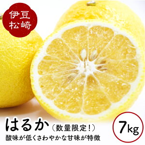 yӂ邳Ɣ[ŁzkO_Y ͂邩 7kg