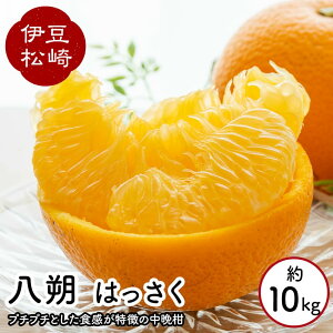 yӂ邳Ɣ[ŁzkO_Y  ͂ 10kg