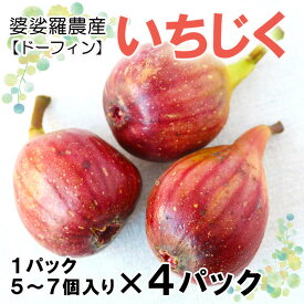 楽天市場 生いちじくの通販