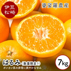 【ふるさと納税】婆娑羅農産 はるみ 7kg